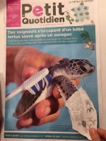 Dessin vs photo_02.JPG