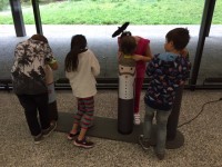 Les doigts dans le cerveau_08.JPG