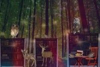 Morgane et Amelie semaine de lecture.jpg