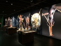 Sortie Gen#U00e8ve (60).jpg