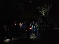 Sortie d'automne nocturne (14).jpg