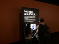 Sortie Gen#U00e8ve (56).jpg