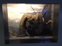 Sortie Gen#U00e8ve (40).jpg