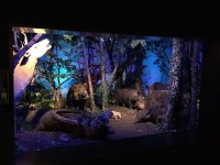 Sortie Gen#U00e8ve (42).jpg