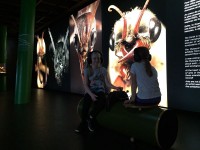 Sortie Gen#U00e8ve (55).jpg