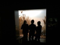 Sortie Gen#U00e8ve (38).jpg