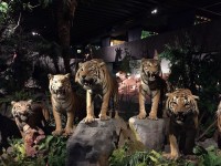 Sortie Gen#U00e8ve (45).jpg