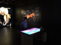 Sortie Gen#U00e8ve (57).jpg