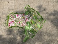 Charlotte et Melissa.JPG