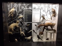 Sortie Gen#U00e8ve (43).jpg