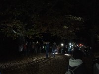 Sortie d'automne nocturne (17).jpg