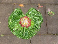 Morgane, Maxime, Mark et Arthur.JPG