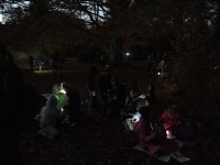 Sortie d'automne nocturne (10).jpg