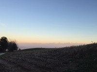 Sortie d'automne nocturne (4).jpg