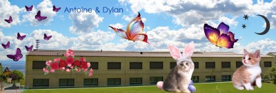 Ecole Evilard Antoine-Dylan.jpg