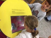 Les doigts dans le cerveau_14.JPG