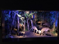 Sortie Gen#U00e8ve (41).jpg