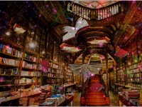 bibliothque Melissa et Arthur.jpg