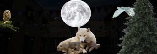 Bannert fanions nuit.jpg