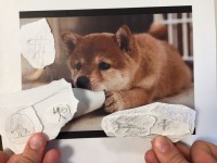 Dessin vs photo_17.JPG