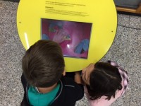 Les doigts dans le cerveau_11.JPG