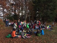 Sortie d'automne nocturne (7).jpg