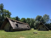 Course d'#U00e9cole 4-5-6H_13.JPG