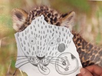 Dessin vs photo_07.JPG