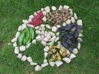 Evan, Noah et Dylan.JPG