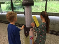 Les doigts dans le cerveau_03.JPG