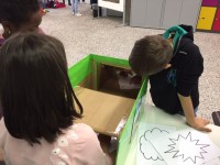 Les doigts dans le cerveau_10.JPG