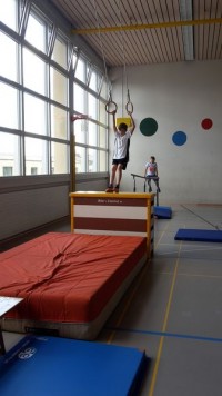 Parcours ninja (2).jpg