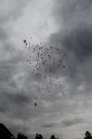 Rentr#U00e9e 2018  (30)_1.JPG