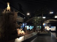 Sortie Gen#U00e8ve (50).jpg