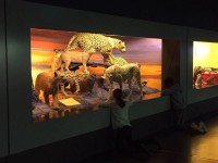 Sortie Gen#U00e8ve (52).jpg