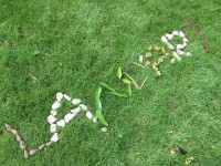 Noah, Dylan et Evan.JPG