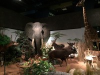 Sortie Gen#U00e8ve (51).jpg