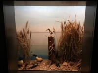 Sortie Gen#U00e8ve (39).jpg